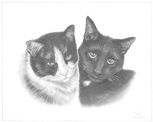 Hand Drawn Pencil Portraits from Photos | Pencil Portrait Drawing | Pencil Sketch Artists